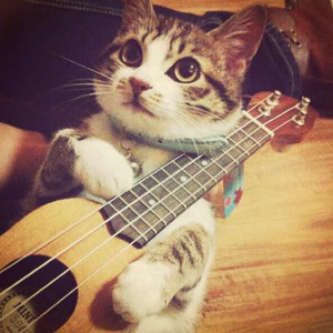 三级片毛片毛片毛片毛片毛片毛片毛片毛片毛片毛片毛骗
